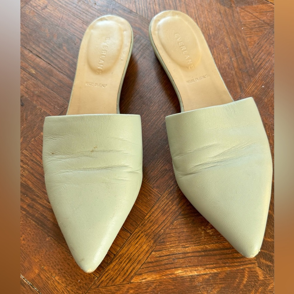 Everlane The Pointed Slides